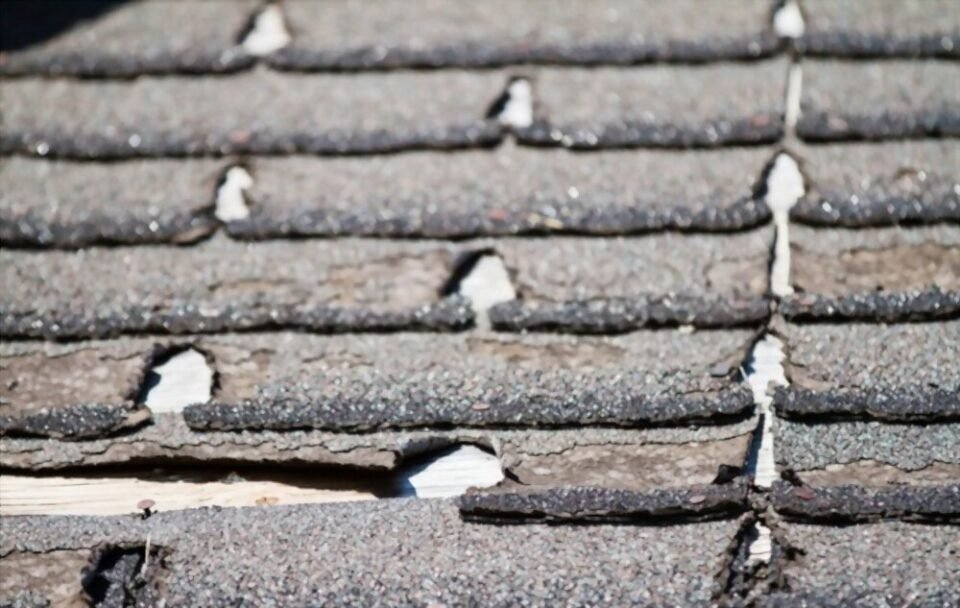 Roofing Shingle services