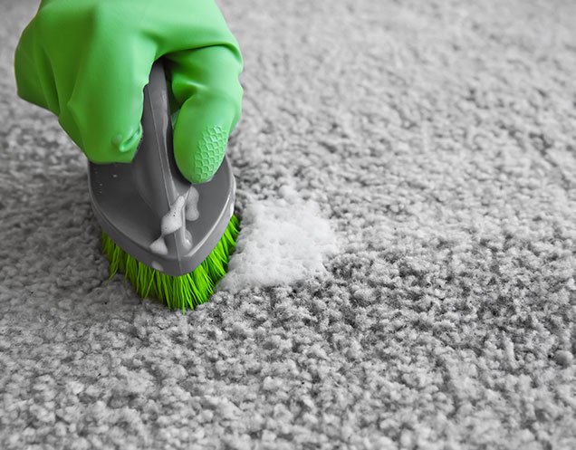 carpet cleaning services in USA