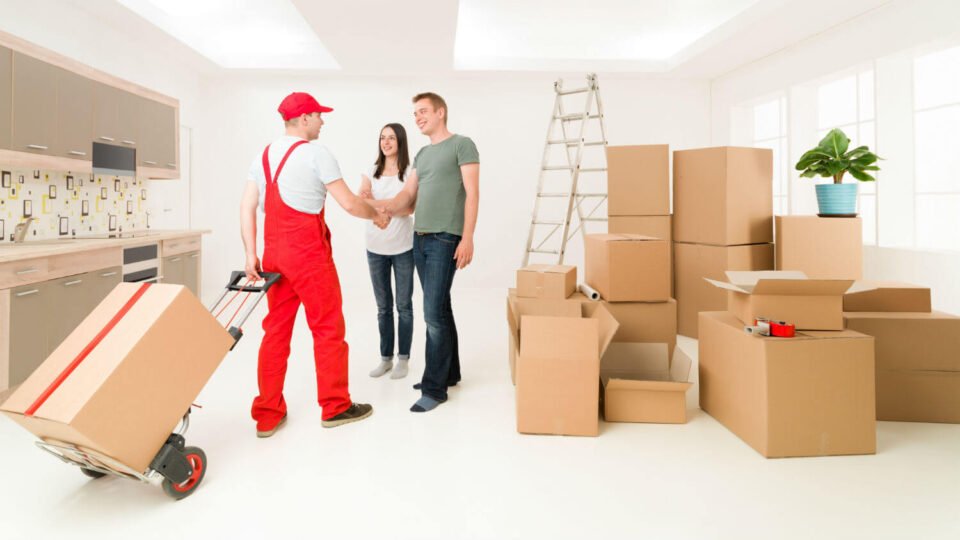 Exploring Professional Moving Services in Kingston: Unlocking Their Trade Secrets