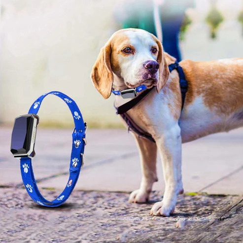 Pet Trackers