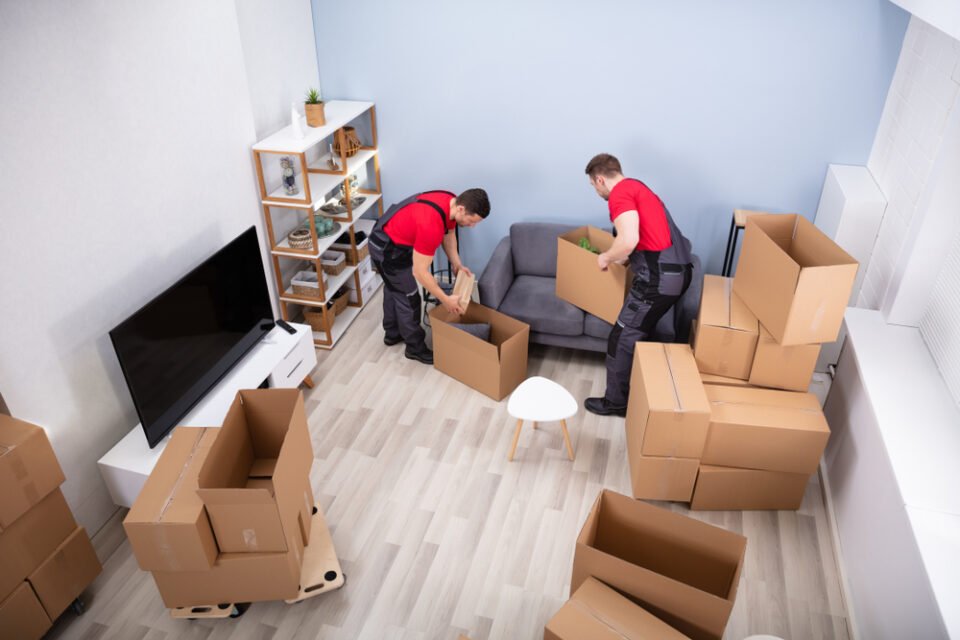 House Removals Romford Your Complete Guide to a Smooth Move