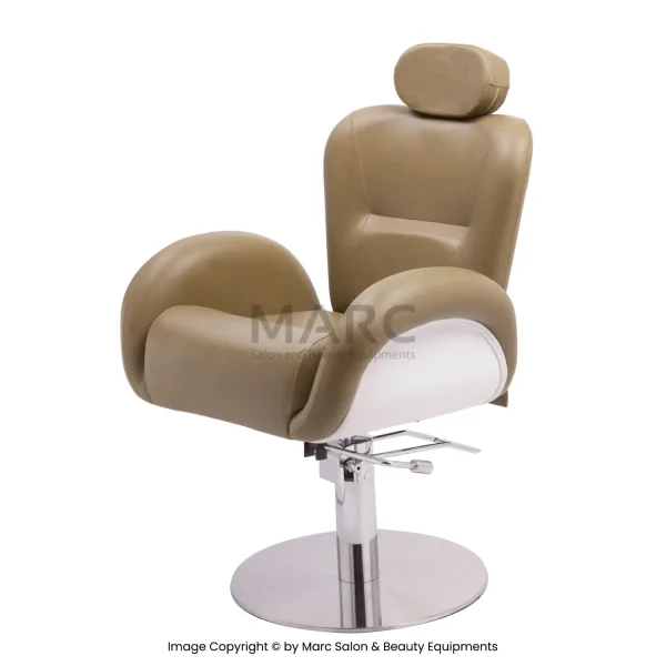 Salon Chair
