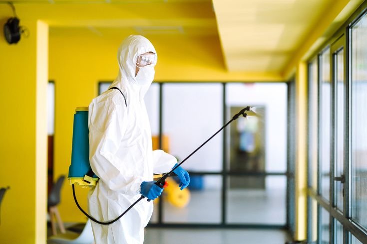 A reliable pest control service