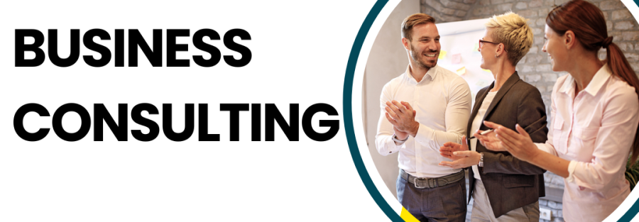 Business Consultants